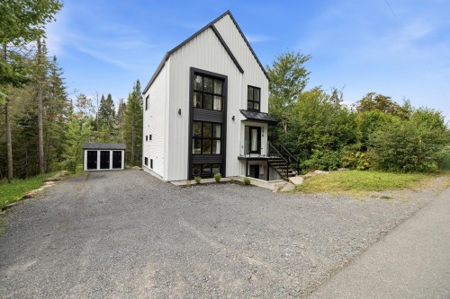 Overall view - 596 Rue Beauregard, Sainte-Agathe-Des-Monts, QC 