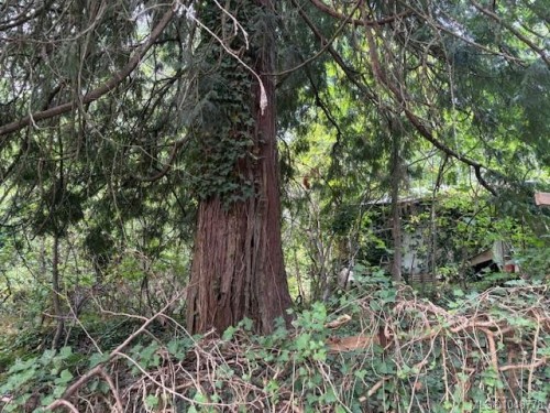 13050 Thomas Rd, Ladysmith, BC 