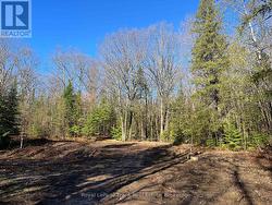 120 NORLOCK ROAD  Madawaska Valley, ON K0J 1B0