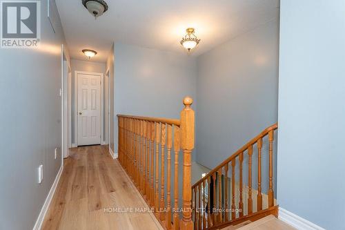 3501 Mccarthy Drive, Clearview, ON 