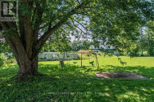 3501 Mccarthy Drive, Clearview, ON 