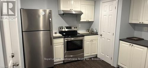 BASEMENT A - 316 TONELLI LANE , Milton (HA Harrison), Ontario L9T 0N8 4
