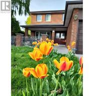 48 CHERRY HILLS ROAD  Vaughan, ON L4K 1M4
