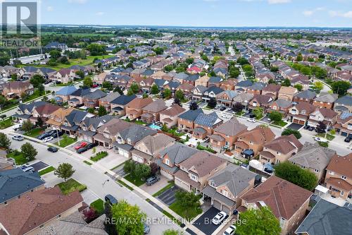 19 Timberwolf Road, Brampton, ON 