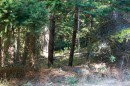 3624 Foc-Sle Rd, Pender Island, BC 