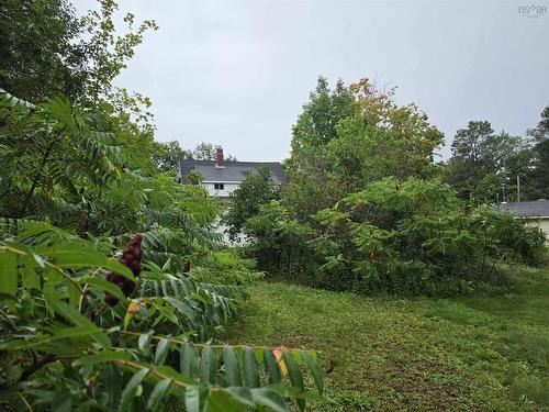 5176 Hwy 201, West Paradise, NS 