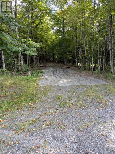 12170 Highway 35, Minden Hills, ON 
