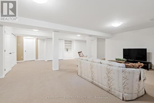 Spacious Recroom with built in closets. - 45 Turtle Point Private, Ottawa, ON 