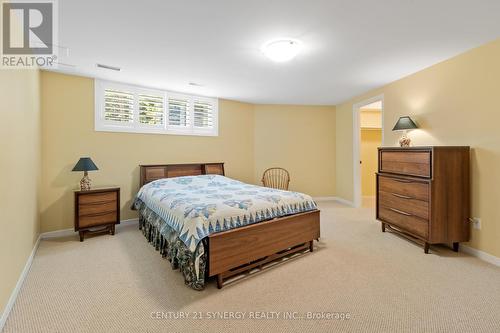 Basement Bedroom with walk in closet. - 45 Turtle Point Private, Ottawa, ON 