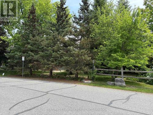 The corner is well treed and very private - 45 Turtle Point Private, Ottawa, ON 
