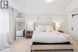 Tray ceiling, light-colored carpeting, large window, and barn door - 
