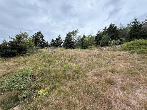 11 Harbour Drive, Brigus, NL 