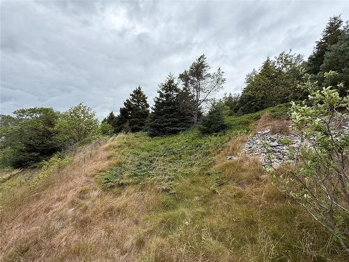 11 Harbour Drive, Brigus, NL 