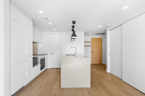 Kitchen - 3022-1030 Rue De Bleury, Montréal (Ville-Marie), QC 
