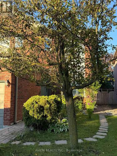 BASEMENT - 79 SWEET WATER CRESCENT , Richmond Hill, Ontario L4S 2B2 2