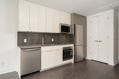 Kitchen - 201-1330 Rue Olier, Montréal (Le Sud-Ouest), QC 