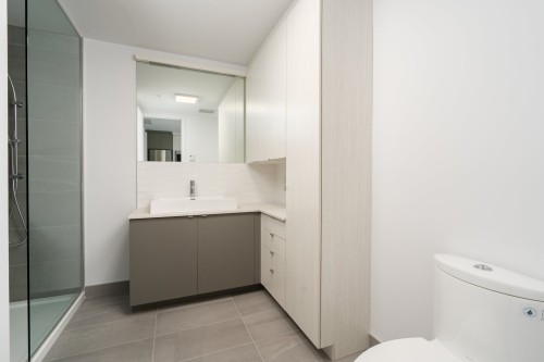 Bathroom - 201-1330 Rue Olier, Montréal (Le Sud-Ouest), QC 