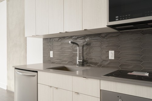 Kitchen - 201-1330 Rue Olier, Montréal (Le Sud-Ouest), QC 