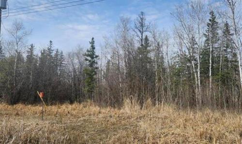 28 Whitetail Cr, Gimli Rm, MB 