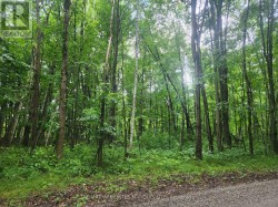 000 CEDAR SANDS ROAD WAY  Rideau Lakes, ON K0E 1N0