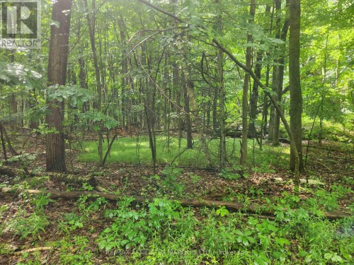 000 Cedar Sands Road Way, Rideau Lakes, ON 