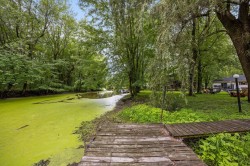 Bord de l'eau - 