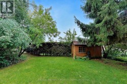 Backyard - 