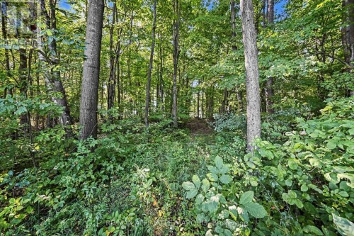 00 Station Road, Rideau Lakes, ON 