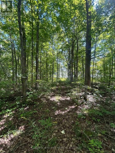 00 Station Road, Rideau Lakes, ON 