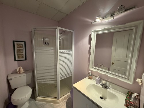 Salle de bains - 108 Ch. Des Lilas, Caplan, QC 