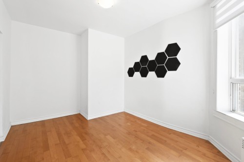 Salon - 1-7062 Rue St-Denis, Montréal (Rosemont/La Petite-Patrie), QC 