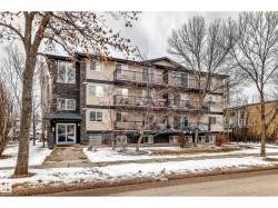 #203 11827 105 ST NW  Edmonton, AB T5G 2N1