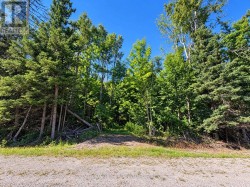 4896 PENETANGUISHENE ROAD Springwater, ON L0L 1V0