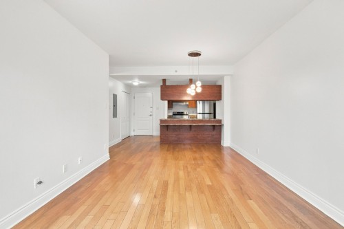 Vue d'ensemble - 305-995 Rue Jules-Poitras, Montréal (Saint-Laurent), QC 