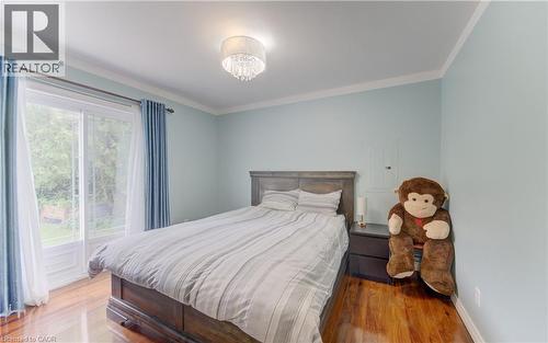Hardwood flooring, crown molding, double glass doors, and a decorative ceiling light fixture - 104 Mausser Avenue, Kitchener, ON 