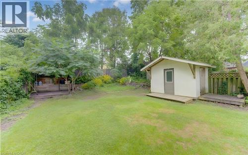 Expansive grassy yard featuring a detached shed with a front deck, a covered patio area, and mature trees - 104 Mausser Avenue, Kitchener, ON 