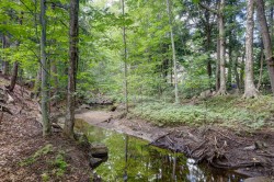 Bord de l'eau - 