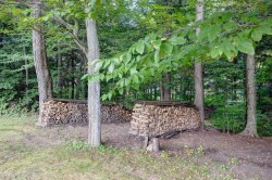 Cour - 