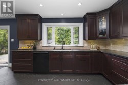 Window overlooking the backyard - 