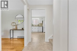 Hardwood flooring, light-colored walls, white kitchen cabinetry, stainless steel sink, and a kitchen window - 