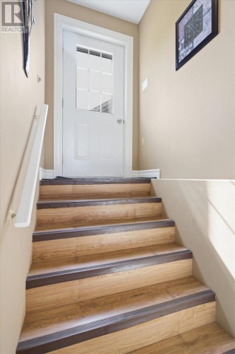 Basement Door - 26 Finn Avenue, Grand Falls - Windsor, NL 