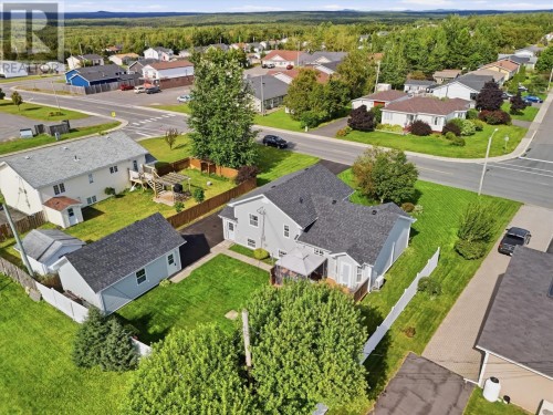 Backyard View - Aerial Shot - 26 Finn Avenue, Grand Falls - Windsor, NL 