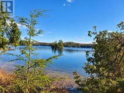 26 BLAIR POINT ROAD  Seguin, ON P0C 1J0
