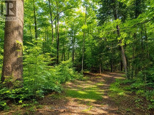 110 Mcvicar Lane, Mcnab/Braeside, ON 