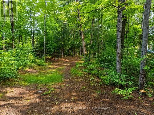 110 Mcvicar Lane, Mcnab/Braeside, ON 
