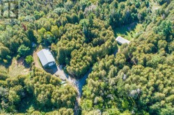 244 DUTCH LINE ROAD W  Trent Lakes, ON K0M 2A0