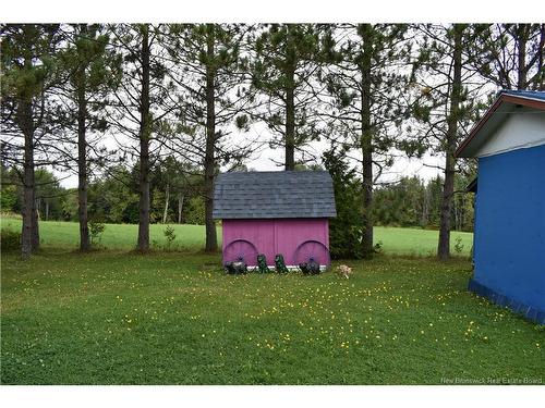 491 Rosedale, Rosedale, NB 