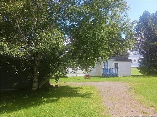 491 Rosedale, Rosedale, NB 