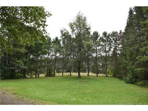491 Rosedale, Rosedale, NB 