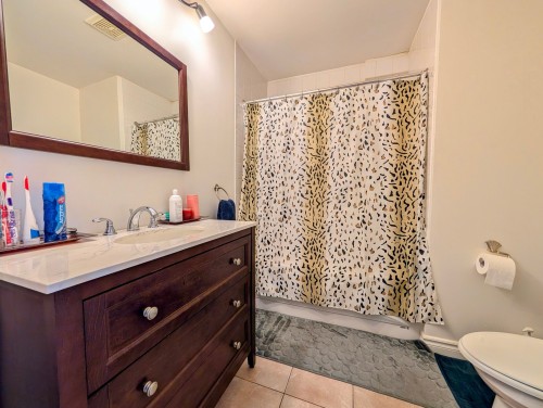 Salle de bains - 7478 Boul. Perras, Montréal (Rivière-Des-Prairies/Pointe-Aux-Trembles), QC 